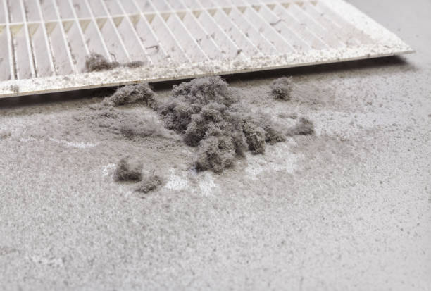 Best Local Air Duct Cleaning Services  in Cottonwood, AL