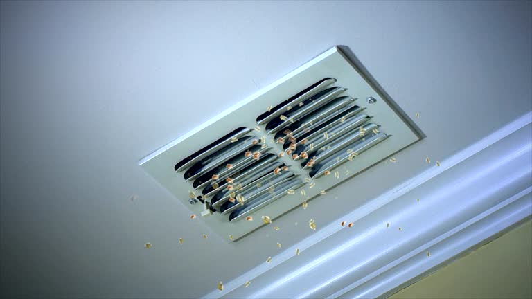 Home Air Vent Cleaning in Cottonwood, AL