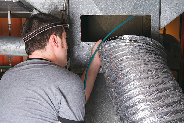 Best Ductwork Cleaning Services  in Cottonwood, AL