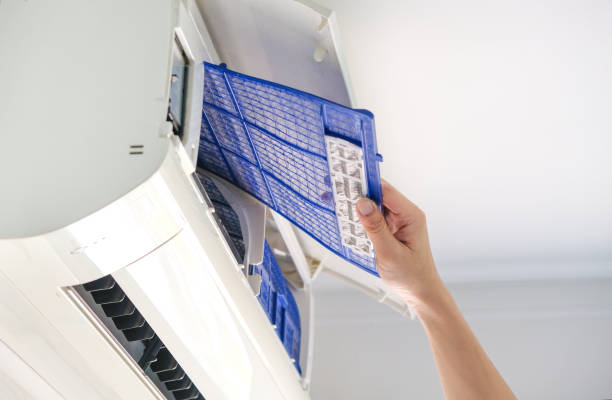 Best Affordable HVAC Duct Cleaning  in Cottonwood, AL
