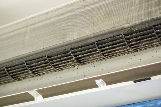 Best Air Duct Cleaning Cost  in Cottonwood, AL