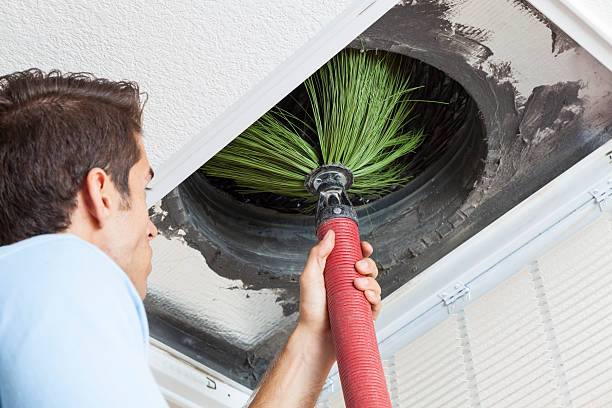 Best Professional Duct Cleaning Services  in Cottonwood, AL