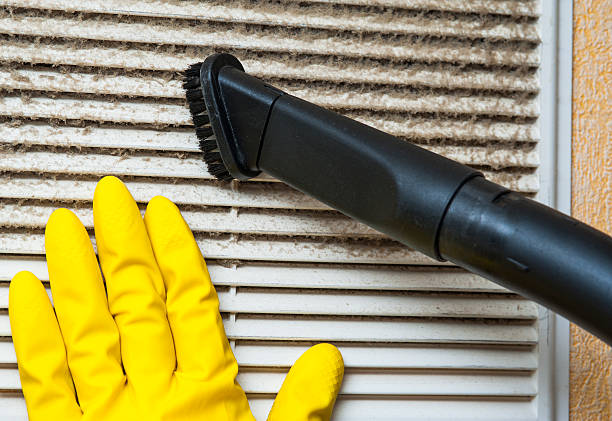 Best Commercial Air Duct Cleaning  in Cottonwood, AL